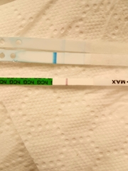 Help with clear blue digital