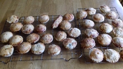 Festive Frugaleers gather round the (best value and carefully researched) Christmas Tree for support, advice and chat. All welcome.