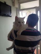 AIBU or is he? Cats, new flat, money, boyfriend