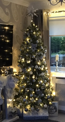 Lets see your trees!