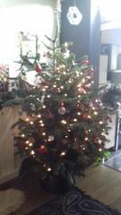 Lets see your trees!