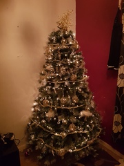Lets see your trees!