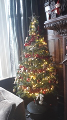 Lets see your trees!