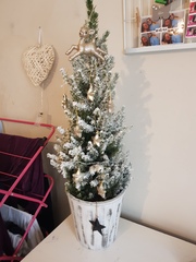 Lets see your trees!