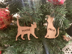 What's your DCat up to today? Episode 6, Return of the... Cats?