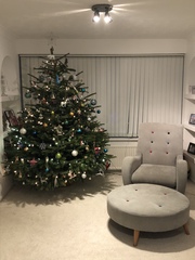 Lets see your trees!