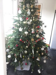 Lets see your trees!