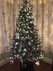 Lets see your trees!
