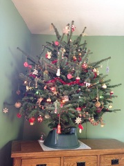 What, if anything, do you have on top of your tree?