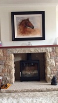 Fireplace/Chimney advice