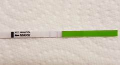 Positive opk?
