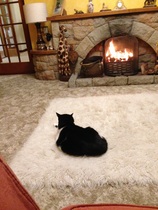 Fireplace/Chimney advice