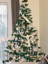 Lets see your trees!
