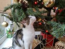 Sssh! I have a secret!