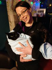 We have totally embarrassed the cat
