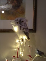 To think that THIS is not a Christmas tree?