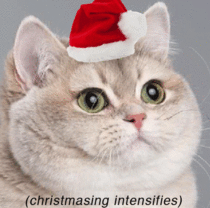 What is the difference between snowmen and snow women? Snowballs! It’s countdown to Christmas thread 5!