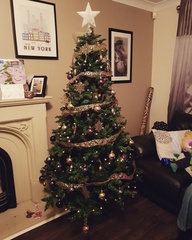Lets see your trees!