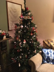 Lets see your trees!