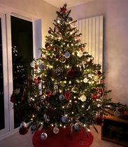 Lets see your trees!