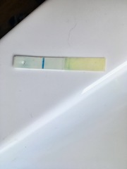 Very Faint bfp or evap?