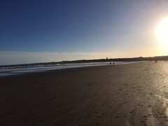 The Brave Babes Battle Bus - Braving The Wine Witch & Her Alcohol Free Autumn