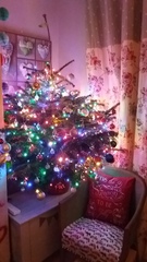 Lets see your trees!