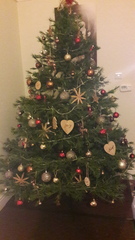 Lets see your trees!