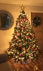 Lets see your trees!