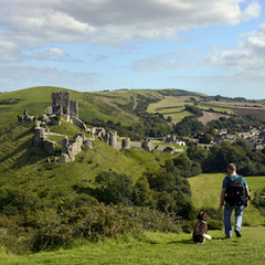 I don't understand the hype about Yorkshire?