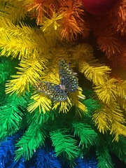 Rainbow tree