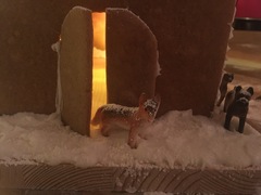 What the hell are you supposed to do with gingerbread houses?