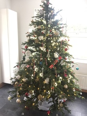 Lets see your trees!