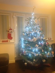 Lets see your trees!