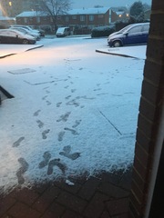 To ask to show me the view from your door