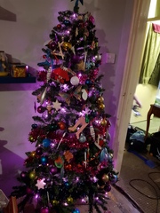 Lets see your trees!