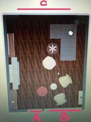 Please help - layout and furniture arrangement for a long living room