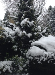 When do you start feeling Christmassy?