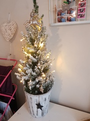 Lets see your trees!