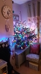 Lets see your trees!