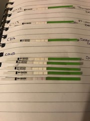 TTC First Month