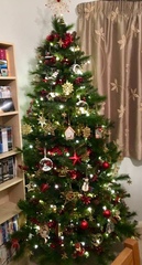 Lets see your trees!