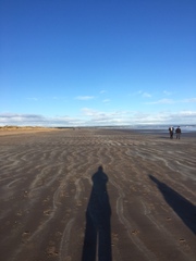 The Brave Babes Battle Bus - Braving The Wine Witch & Her Alcohol Free Autumn