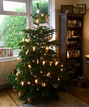 Lets see your trees!