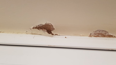 How can we fix this paint flaking problem?