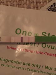 Anyone see progress?