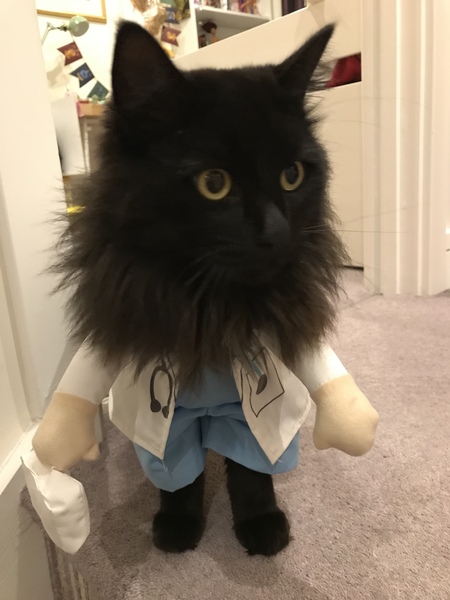 AIBU to think my cat is the cutest?