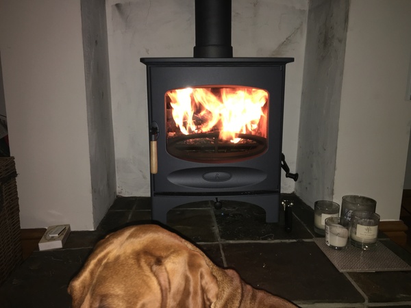 Which log burner do you have?