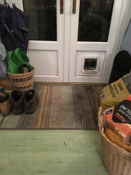 Absorbant door mat