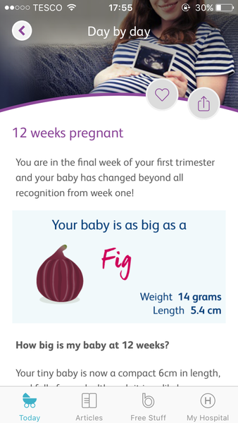 First Time Pregnancy: Summer Babies 2018